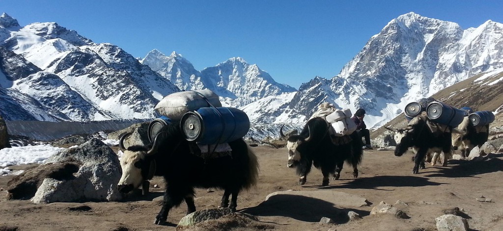 challenging trek